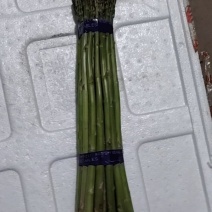 崇明绿芦笋