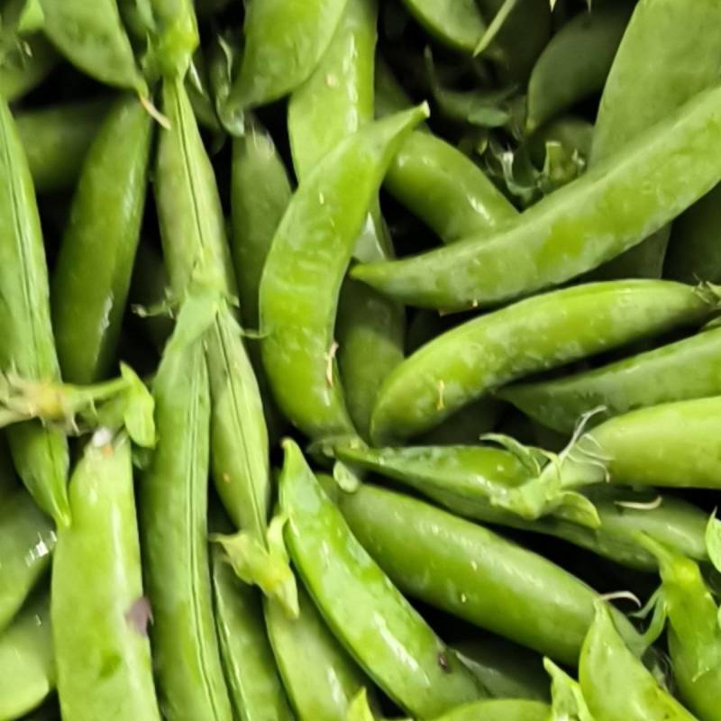 无农残甜豌豆大量开始上市啦丶