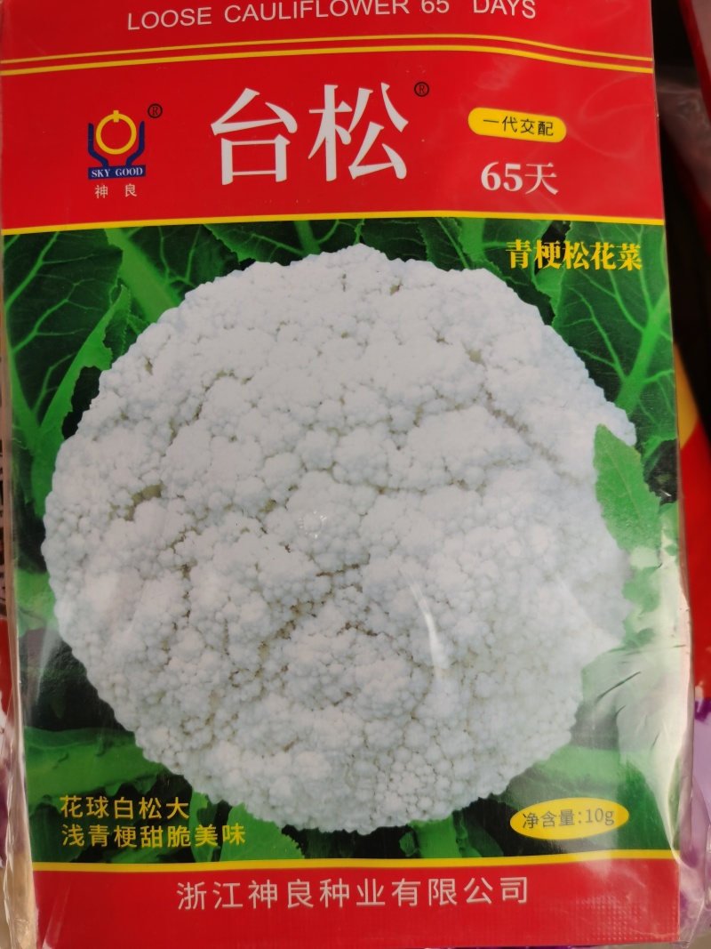 台松60天65天70天85天优质青梗松花菜种子