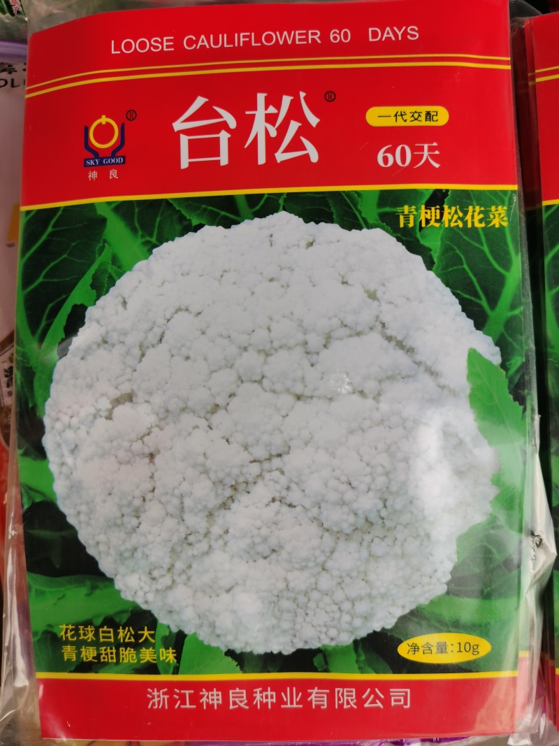 台松60天65天70天85天优质青梗松花菜种子