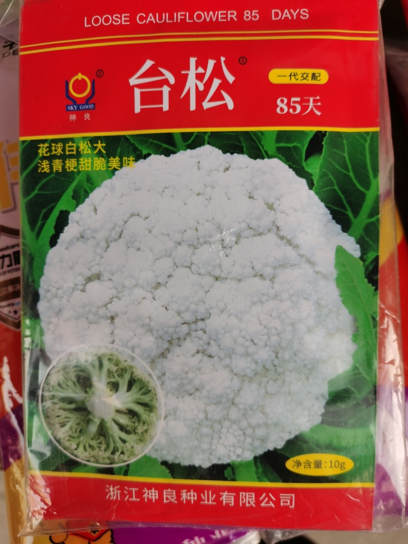 台松60天65天70天85天优质青梗松花菜种子