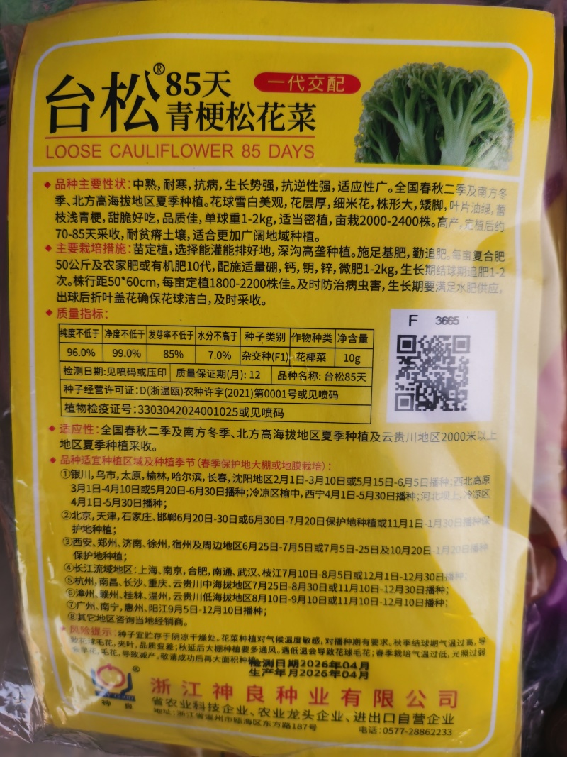 台松60天65天70天85天优质青梗松花菜种子