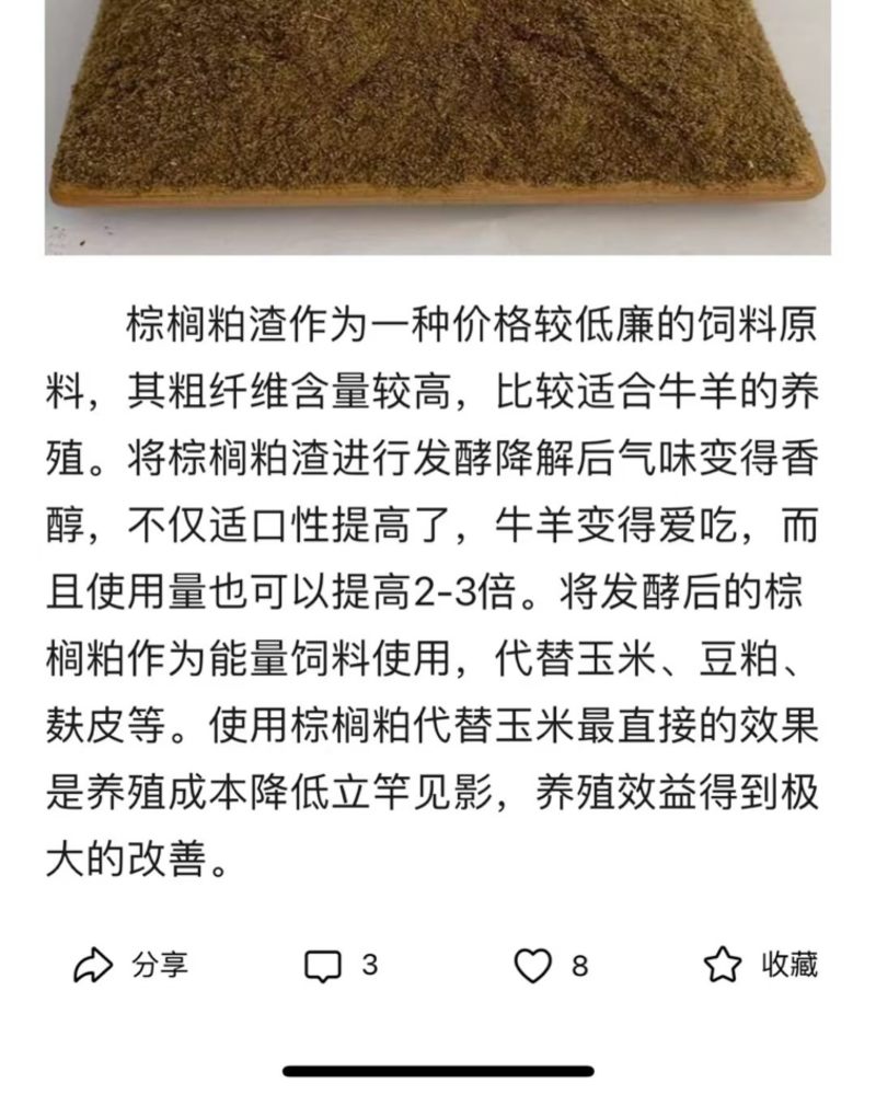 印度尼西亚棕榈粕厂家直销
