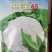 白玉松花菜65白玉88矮脚欧佳宝系列青梗松花菜种子