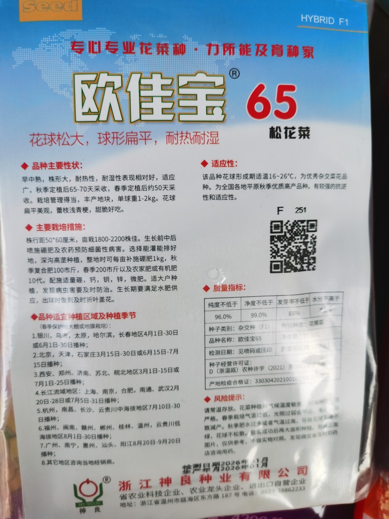 白玉松花菜65白玉88矮脚欧佳宝系列青梗松花菜种子