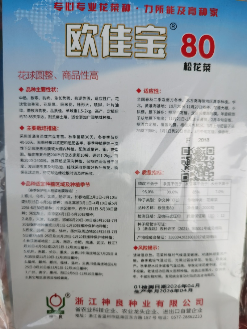 白玉松花菜65白玉88矮脚欧佳宝系列青梗松花菜种子