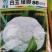 白玉松花菜65白玉88矮脚欧佳宝系列青梗松花菜种子