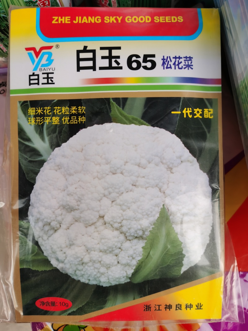 白玉松花菜65白玉88矮脚欧佳宝系列青梗松花菜种子