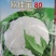 白玉松花菜65白玉88矮脚欧佳宝系列青梗松花菜种子
