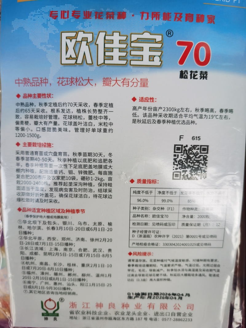 白玉松花菜65白玉88矮脚欧佳宝系列青梗松花菜种子