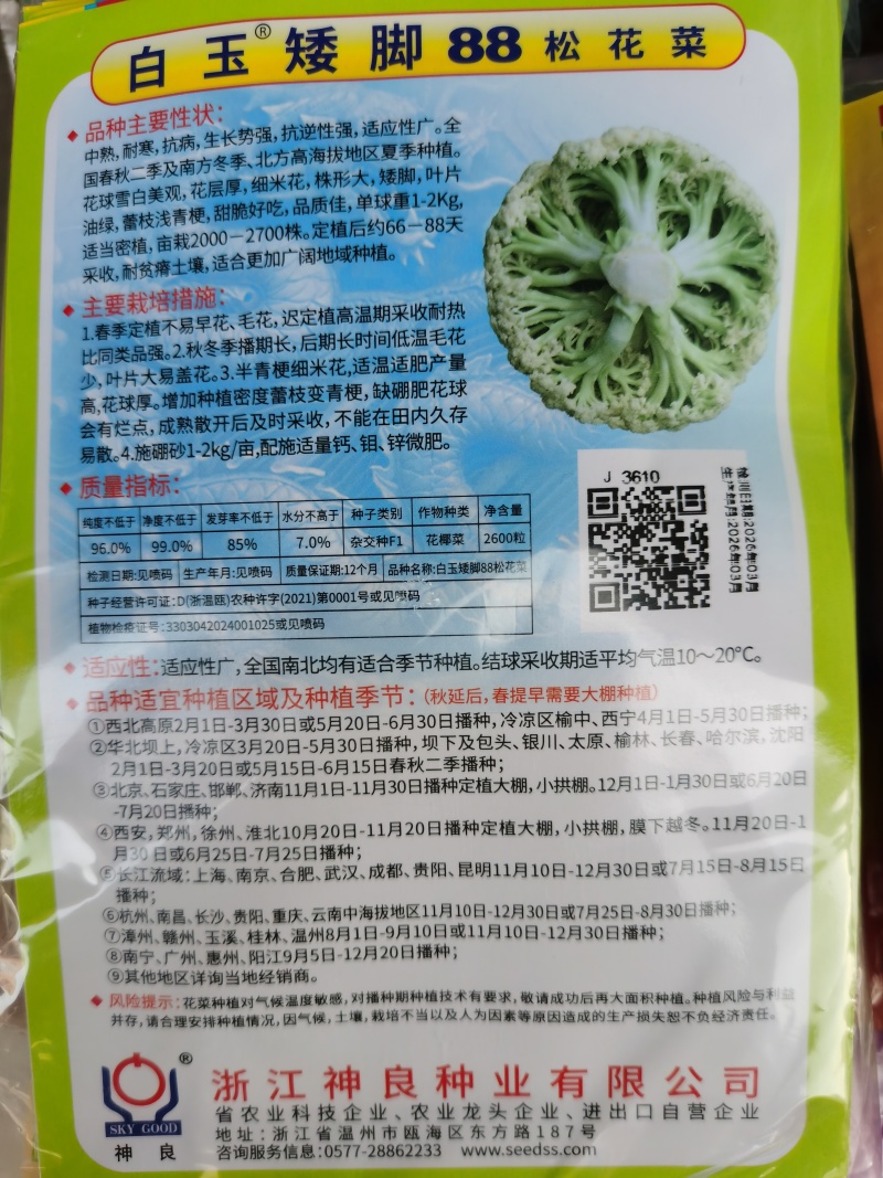 白玉松花菜65白玉88矮脚欧佳宝系列青梗松花菜种子