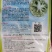 白玉松花菜65白玉88矮脚欧佳宝系列青梗松花菜种子