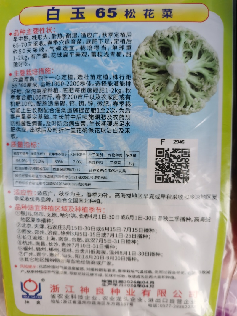 白玉松花菜65白玉88矮脚欧佳宝系列青梗松花菜种子