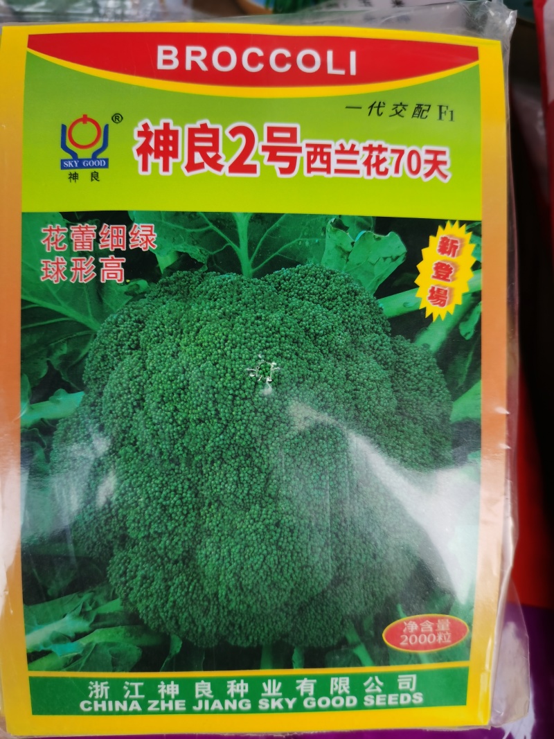 神良1号2号3号马尼拉神良系列菜花种子