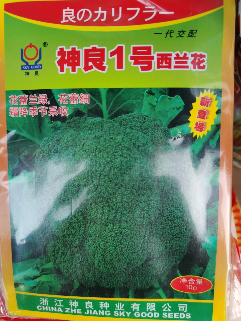 神良1号2号3号马尼拉神良系列菜花种子