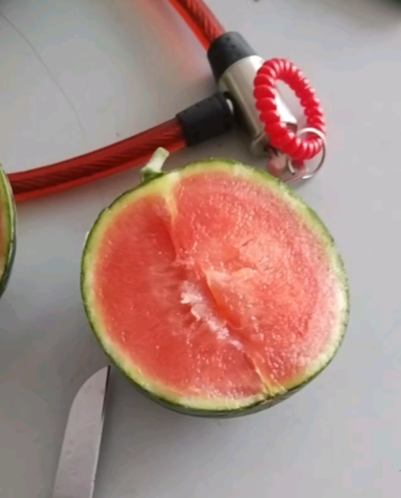 大量低价上市小糖丸脆皮无籽小西瓜小吊瓜，头茬鲜瓜产地批发