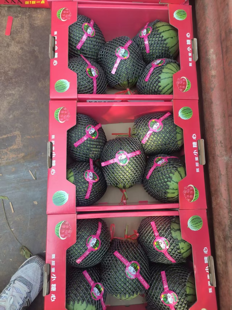 陕西美都，金王，小糖丸西瓜，大量上市，价格优惠