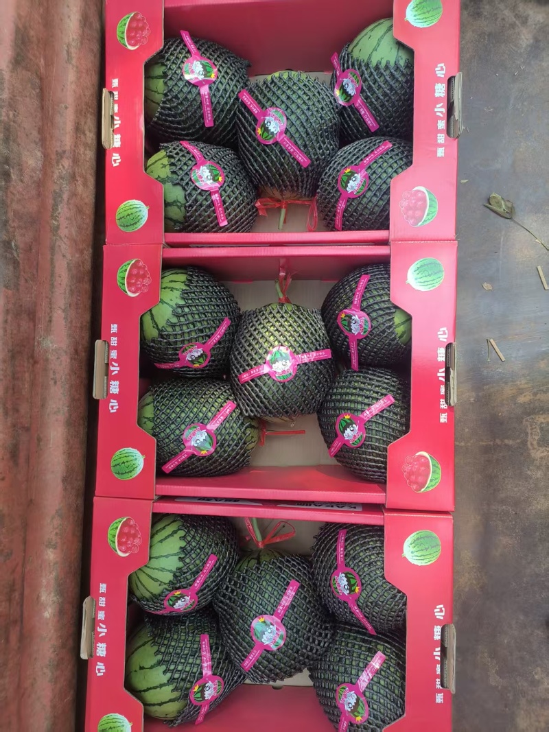 陕西美都，金王，小糖丸西瓜，大量上市，价格优惠