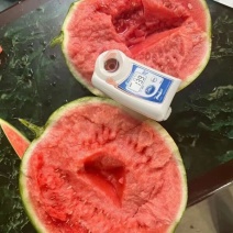 麒麟美都西瓜产地大量有货价格低，薄皮大红瓤货源充足，产地