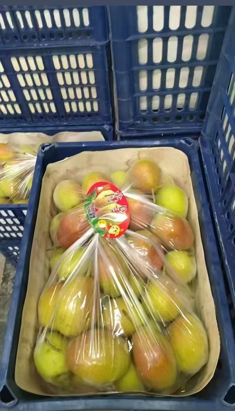 精品红香酥梨，一手货源，保质保量，可视频看货，诚信经营