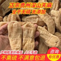 【精选新货】云南贵州深山鲜天麻晾干纯无硫干天麻