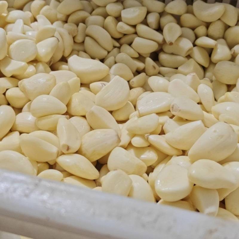 山东精品蒜米厂家直销