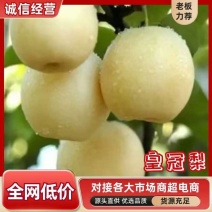 皇冠梨大量供应价格美丽一条龙服务全国可发