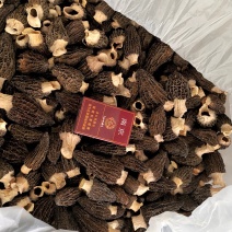 羊肚菌六妹干品