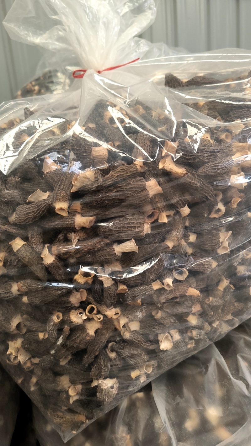 羊肚菌六妹干品