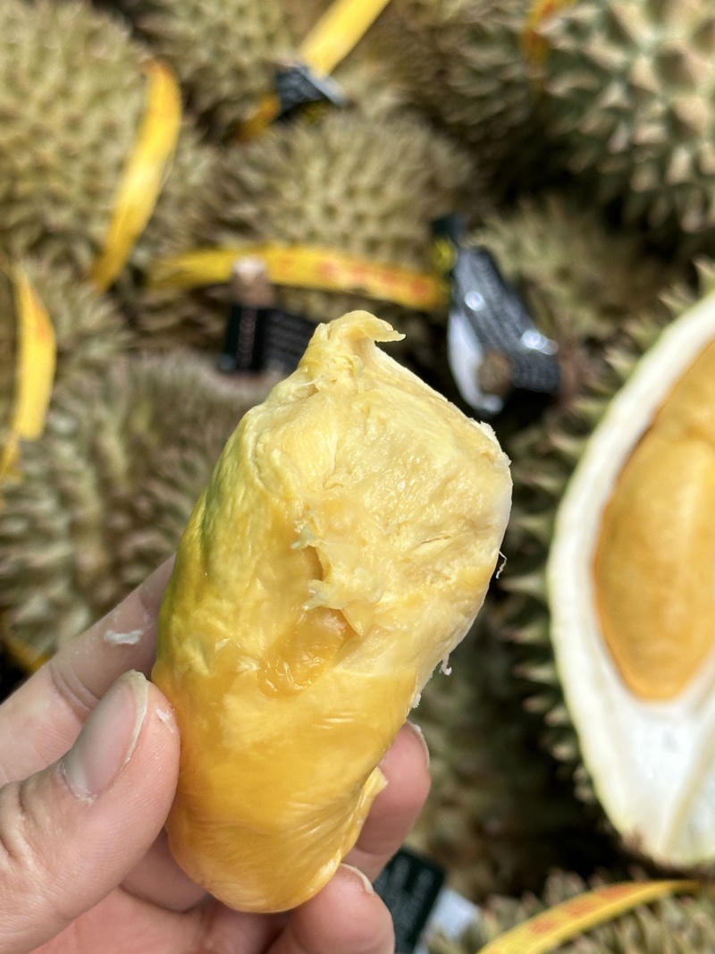 托曼尼