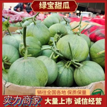 内黄县精品绿宝甜瓜产地直销代收代发