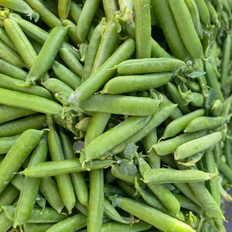 水果甜豌豆大量上市，欢迎下单！