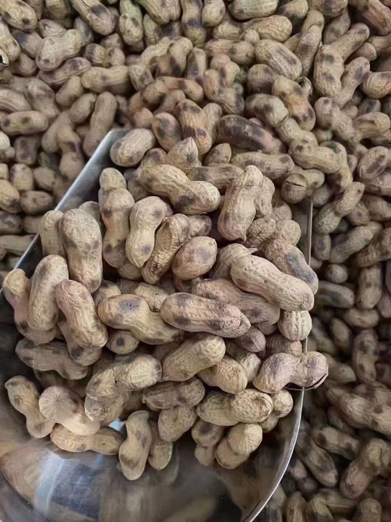 客家炒花生纯手工炒花生河源炒花生