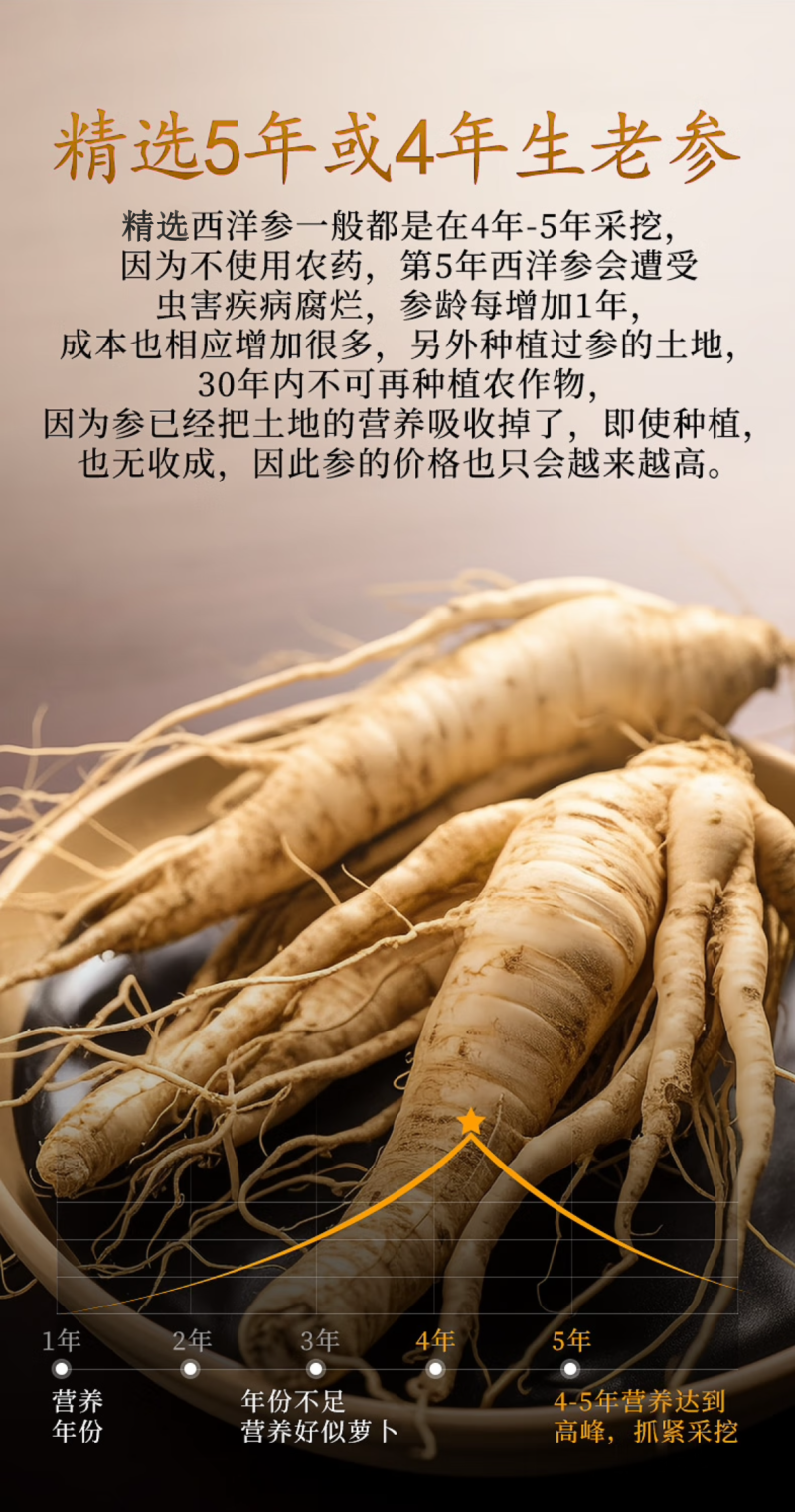 西洋参精选片新款花旗参切片半斤装泡水泡酒