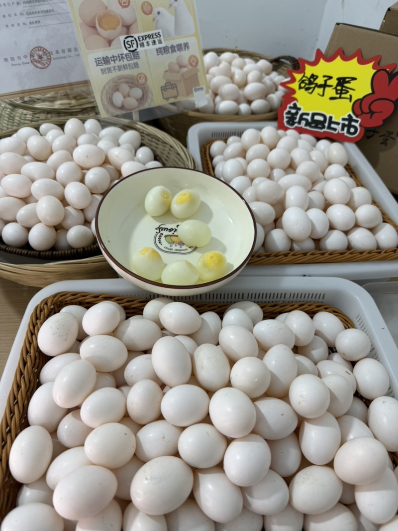 沂蒙山鸽子蛋30枚700克大鸽蛋