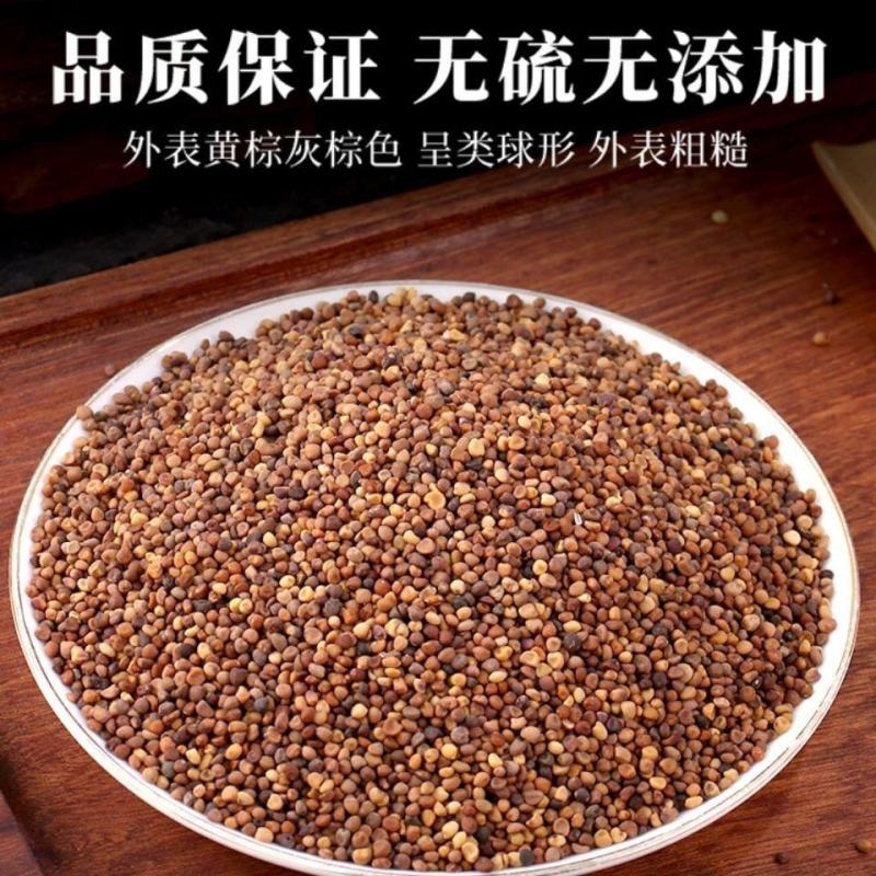 菟丝子正宗兔丝子吐丝籽吐丝子菟丝籽籽药中药材批发零售