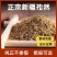 新疆孜然粒炒孜然打粉烧烤料烤鱼羊肉串孜然粉香料批发零售