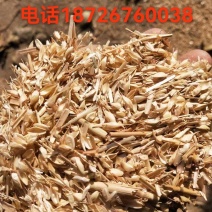 优质麦糠，大量有货，要的联系，