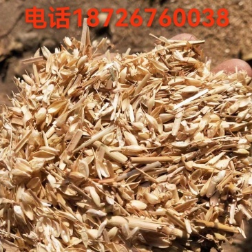 优质麦糠，大量有货，要的联系，
