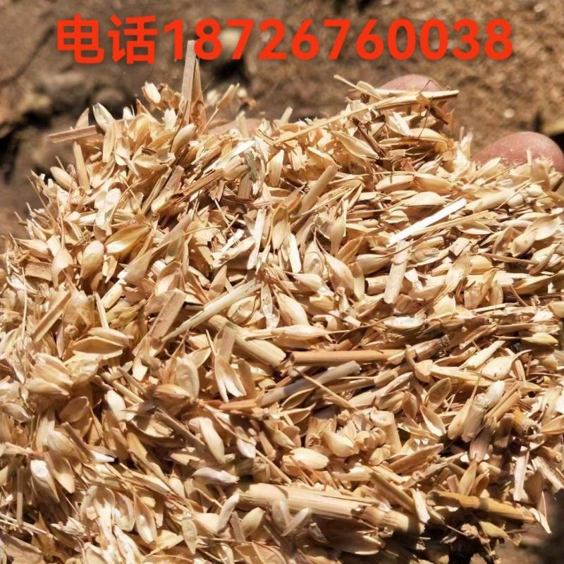 优质麦糠，大量有货，要的联系，