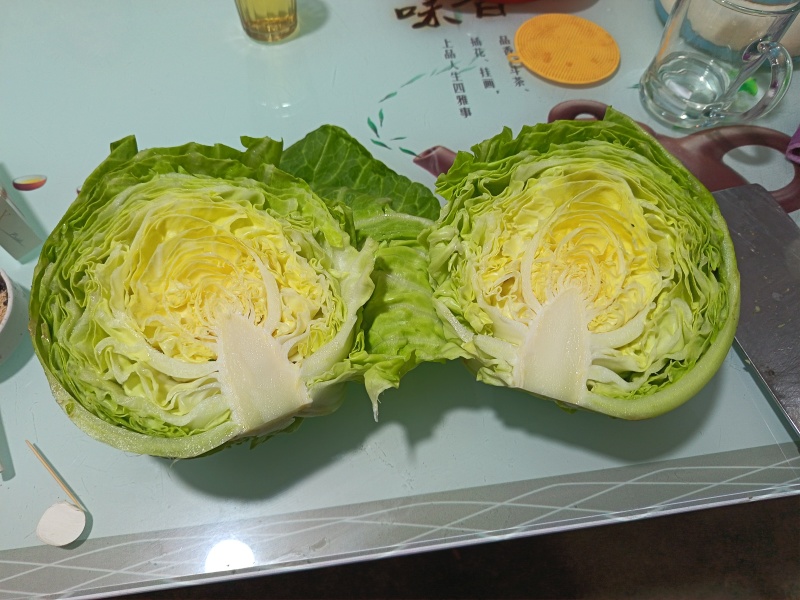 中甘甘蓝