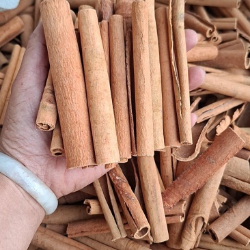 新货上市烟桂肉桂棒
