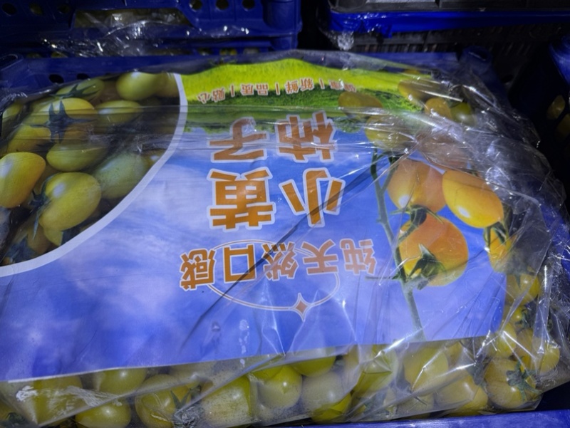 清甜，千禧,小黄，唐伯虎,409