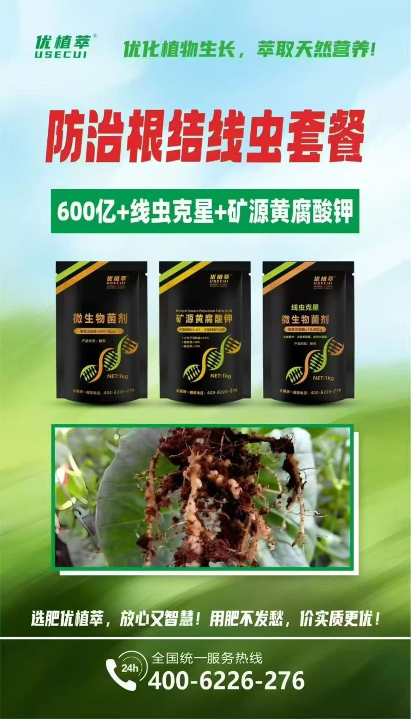 根腐线虫套餐