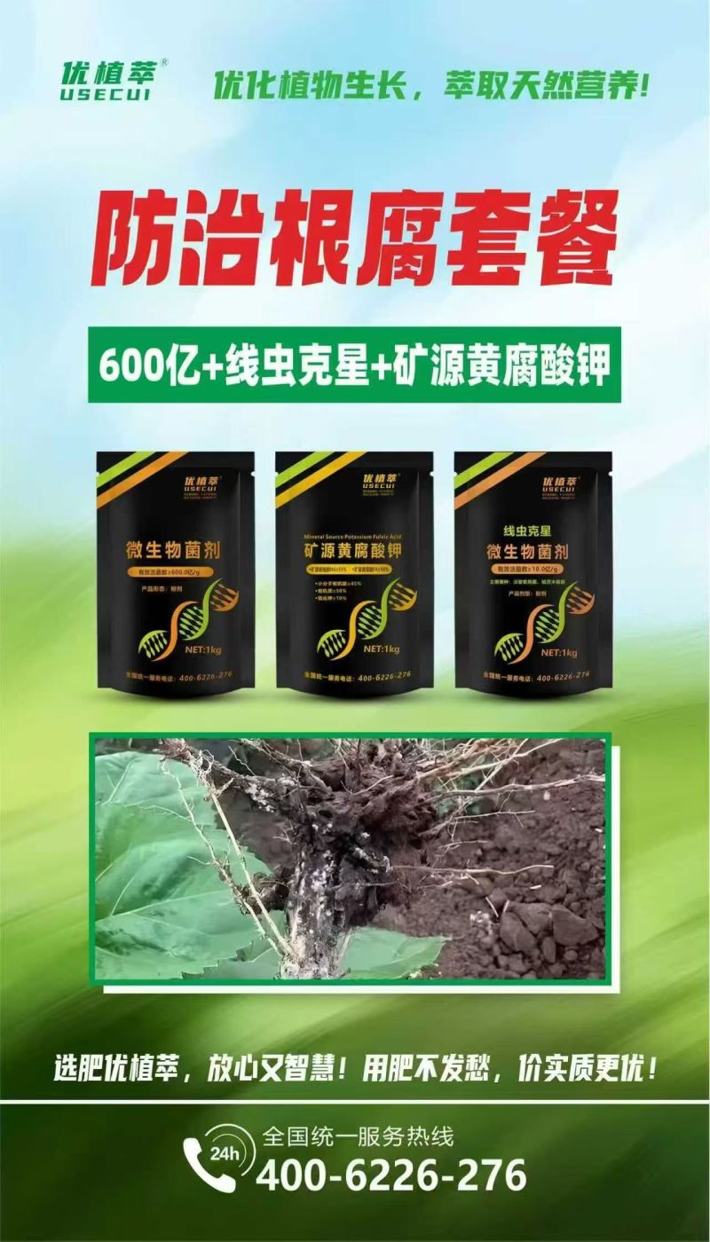 根腐线虫套餐