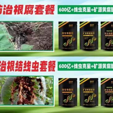 根腐线虫套餐