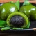 野生艾草小叶艾草清明团