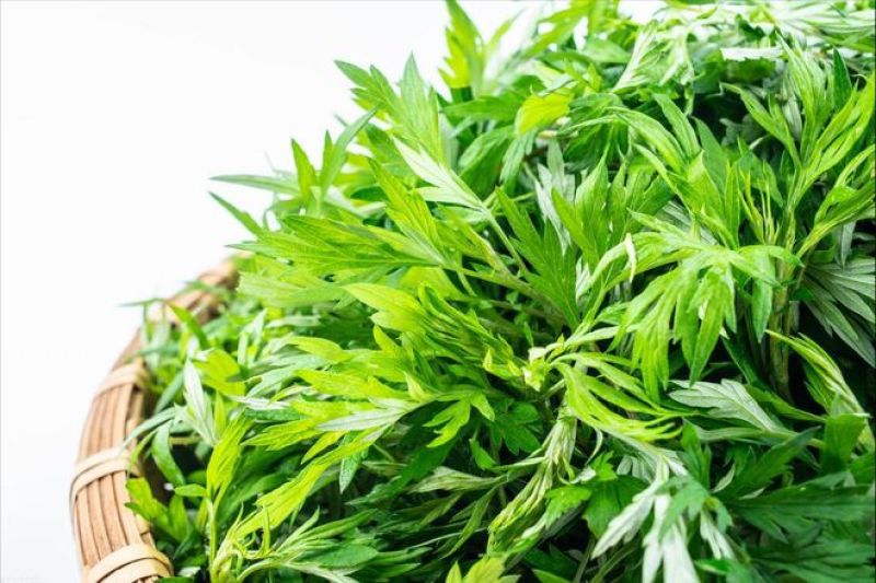 野生艾草小叶艾草清明团