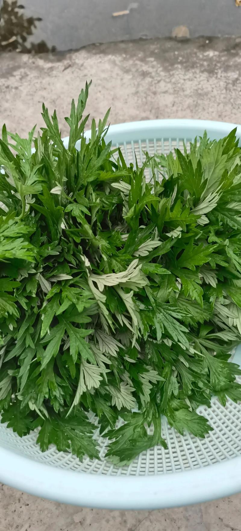 野生艾草小叶艾草清明团
