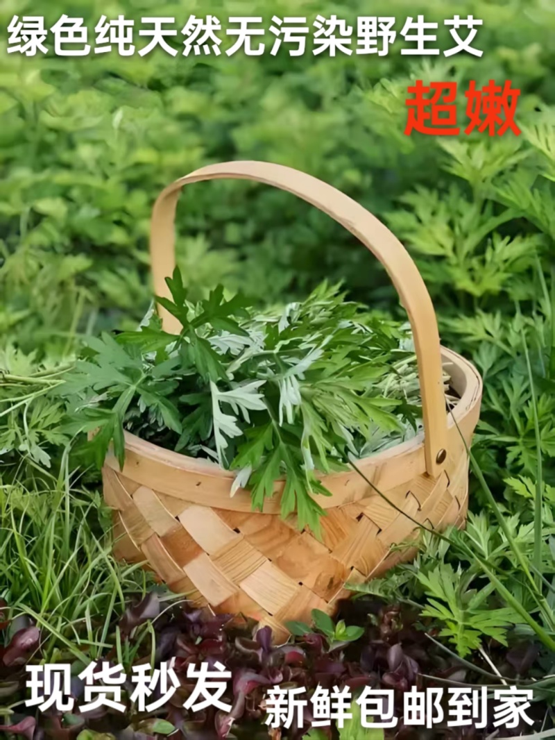 野生艾草小叶艾草清明团